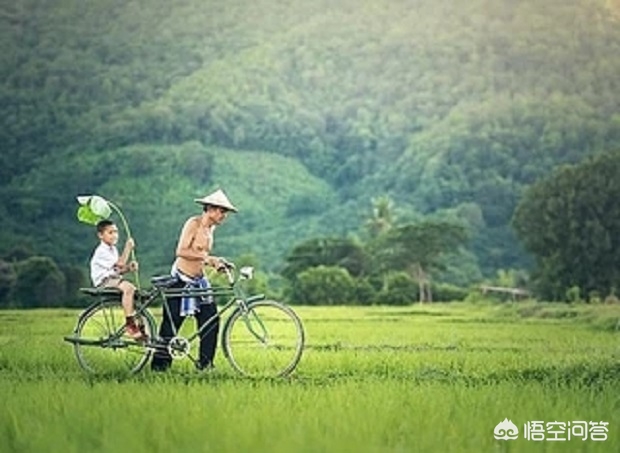 沉迷网络游戏的小孩,最佳精选数据资料_手机版24.02.60