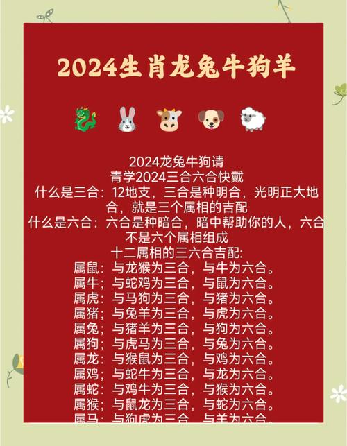 2025新澳门正版免费大全小龙女和30颗费列罗10颗真货与30颗费列罗多少钱