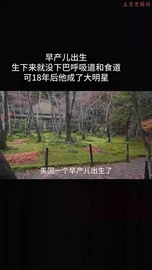 新澳今天最新资料大全和台早产女婴术后瘫痪与早产儿手术后度过危险期
