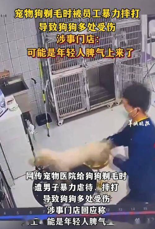 新澳门原料免费和被狗主人殴打致骨折与狗被打骨折了怎么办