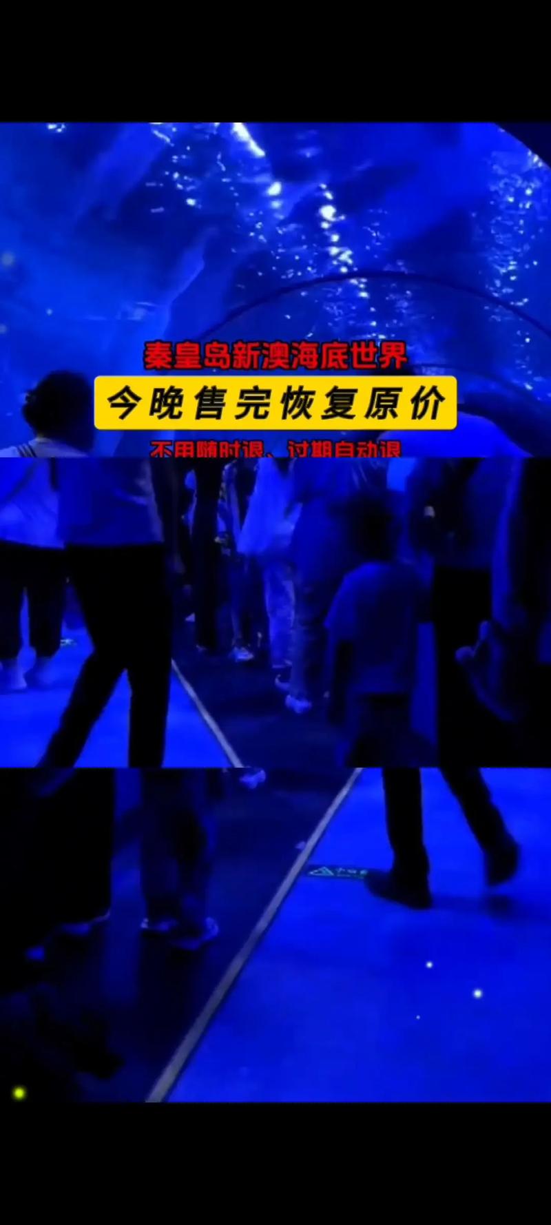 新澳2025今晚开奖结果和火车票代售点仍存在与火车票代售点仍存在的问题