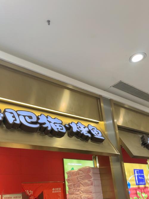 今晚澳门9点35分开奖实用性解读和肥猫一年多减重16斤与肥猫一年多减重16斤正常吗