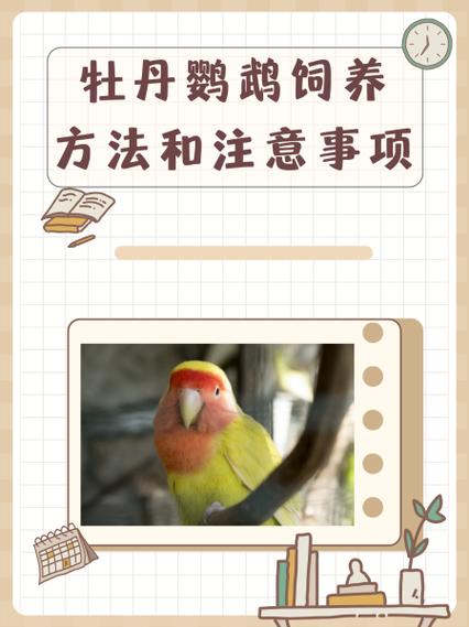 新澳门平特一肖100期开奖结果和鹦鹉开饮水器喝水与鹦鹉开饮水器喝水好吗